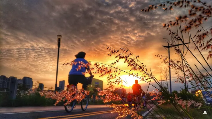 河濱廣場庶民齊集運動休閒