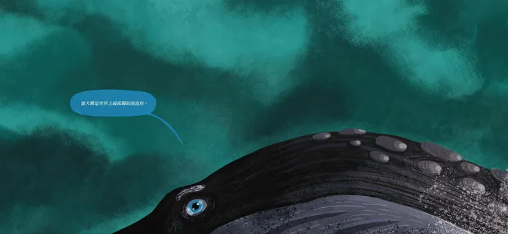 就是這個眼睛：D，掃描自《世界上最孤獨的鯨魚》繪本內文 / 步步出版。