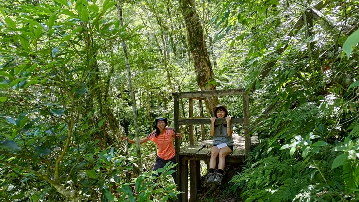 / 需要跳下木棧道才能抱抱巨木們 /