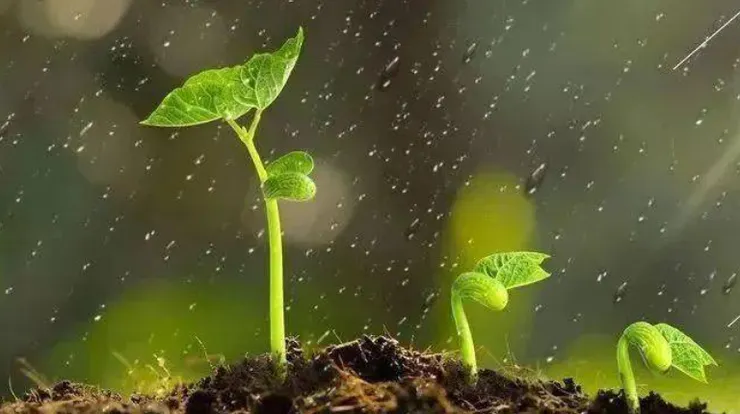 圖片取自網路加以裁剪而成，侵權刪。   