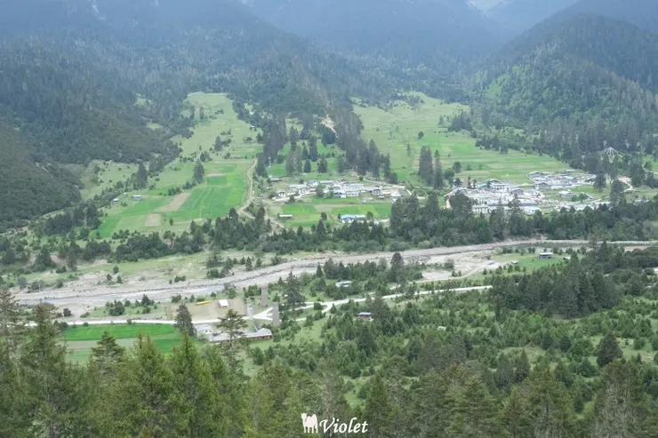 魯朗林海 西藏小瑞士