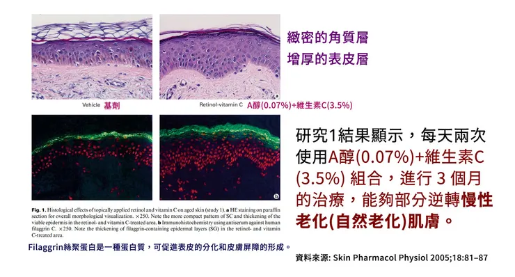 維生素c怎麼搭配?