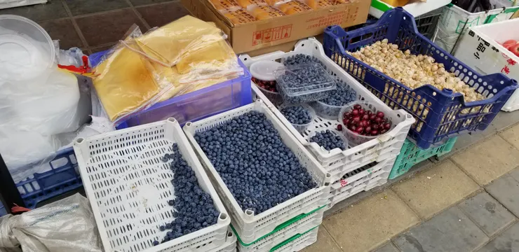藍莓是東北名物