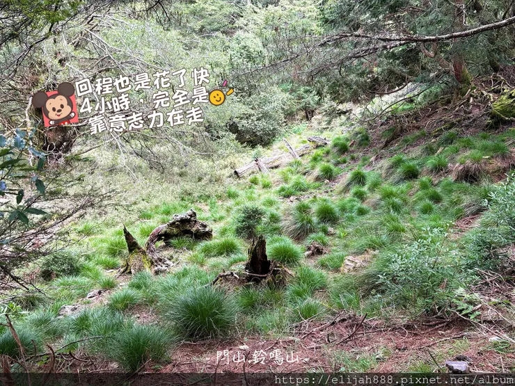 【閂山鈴鳴。兩日50公里百岳行】海拔3272公尺 鈴鳴山-