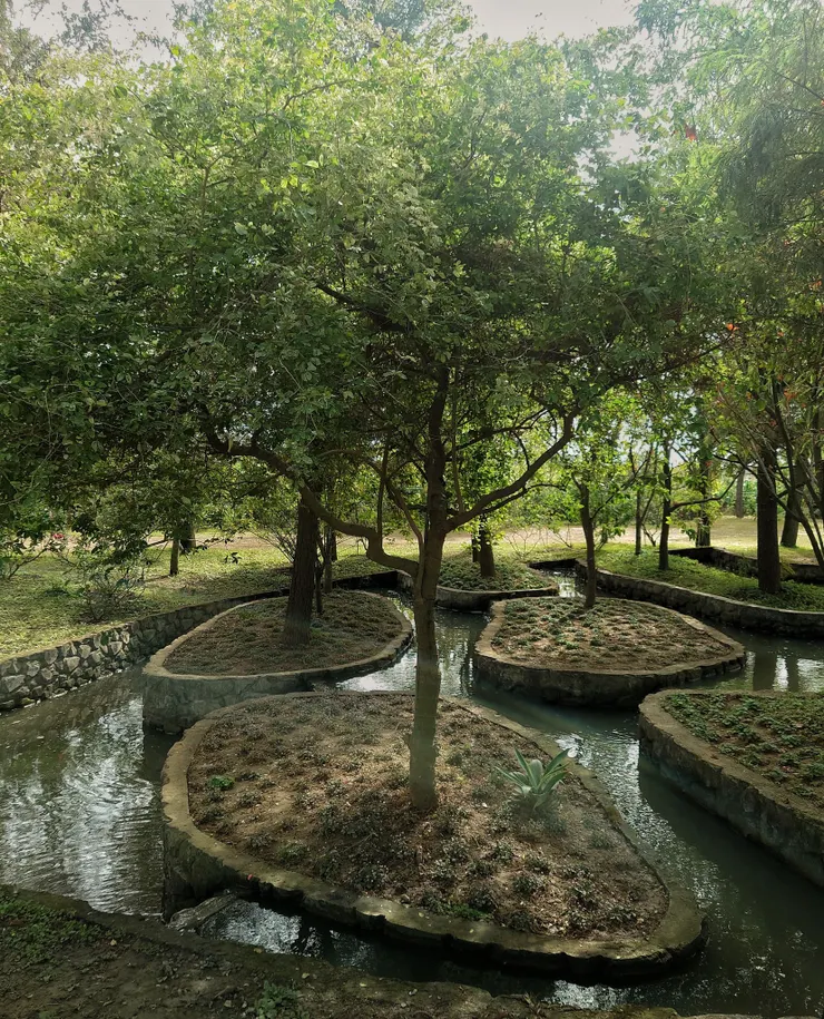 水道從英式花園裡流出，經過水灘區