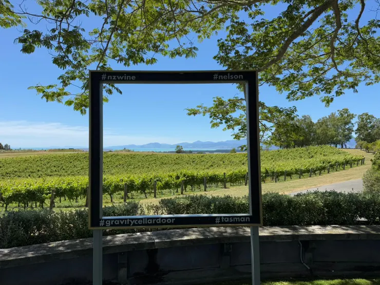 來附近的葡萄酒莊品酒吃飯