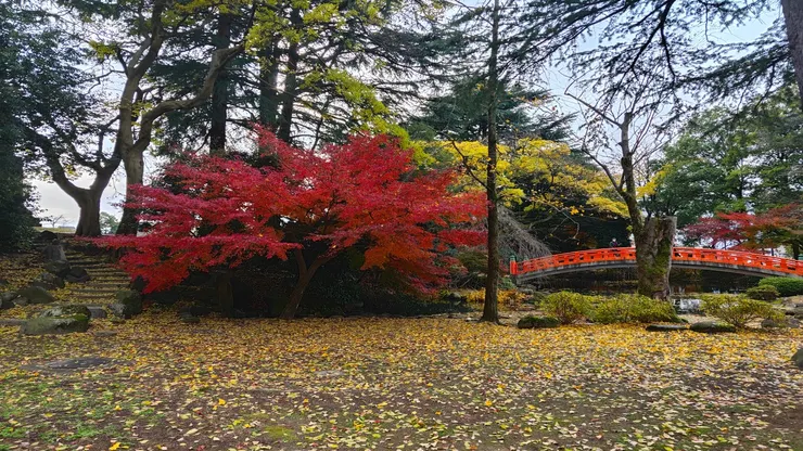 松川公園