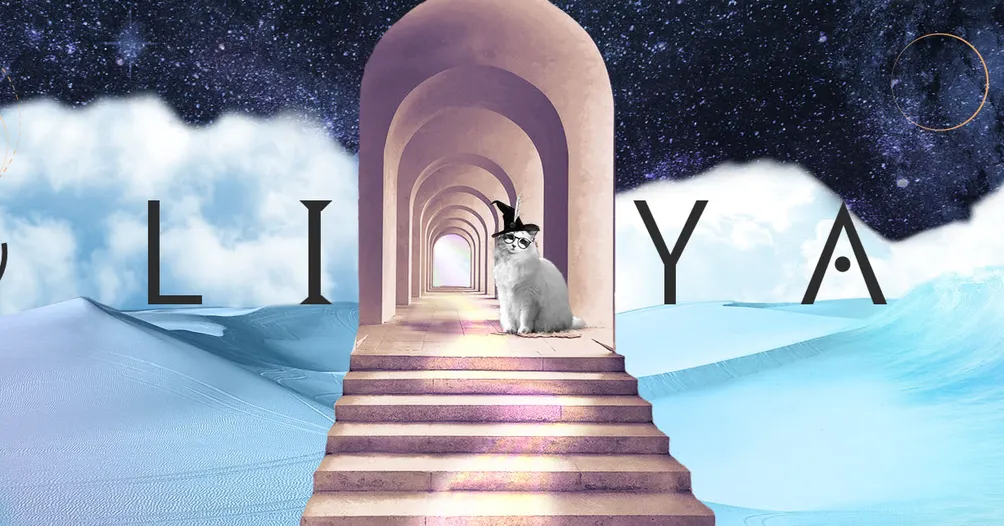 傳訊者蕾雅的漫遊號