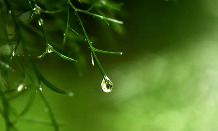 圖片取自網路加以裁剪而成,侵權刪。