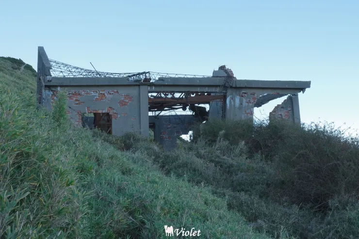 合歡山東峰步道