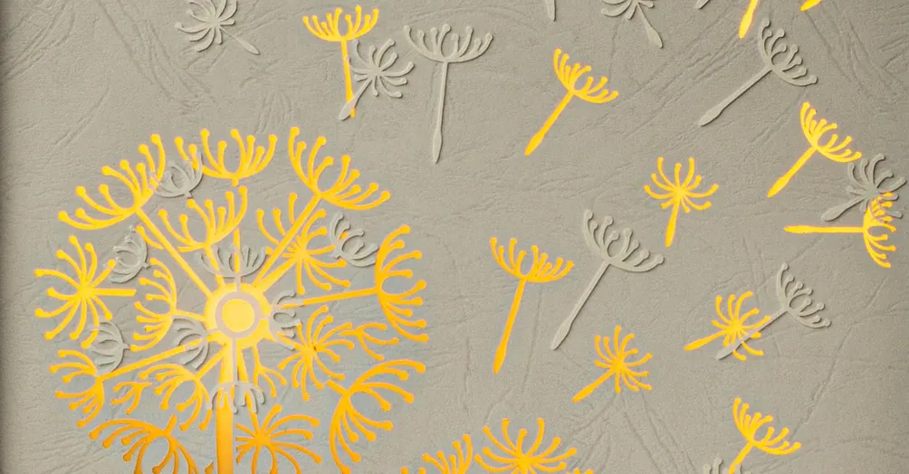 紙。有光的沙龍