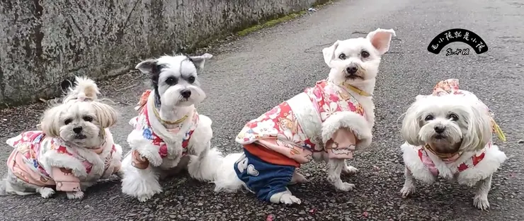 「聞」比「跑」更重要