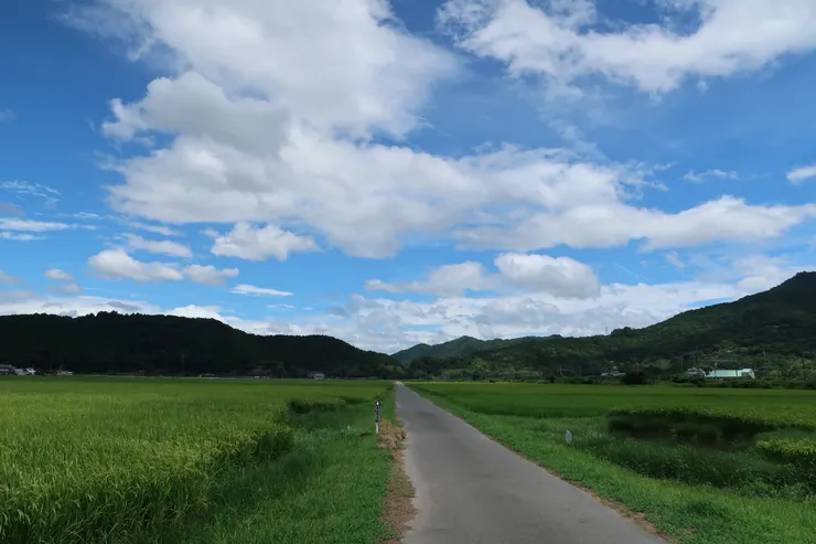 巴士時間不太合，直接走著田野小路去安土城。