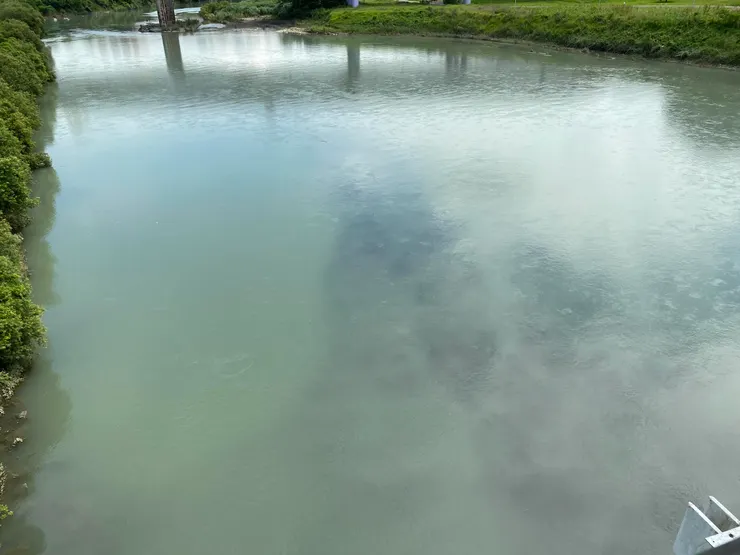 新店溪底原本可見吳郭魚的城堡，可惜水位太高，今天無緣見到