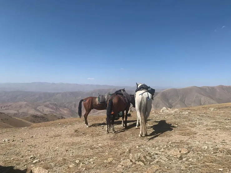 登頂後的壯麗景色