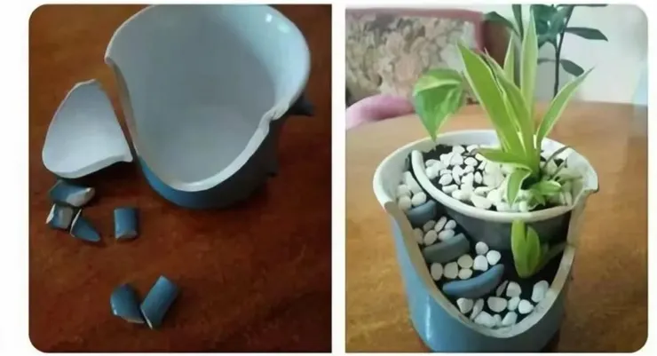 微有關聯，網路截圖