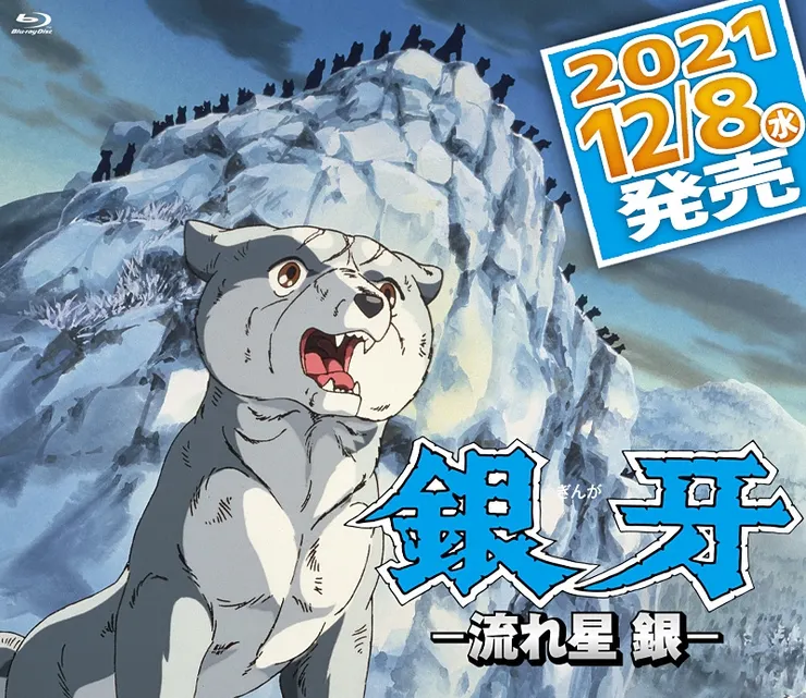 圖片來源:東映 (https://www.toei-video.co.jp/special/ginga-ikkyo/)