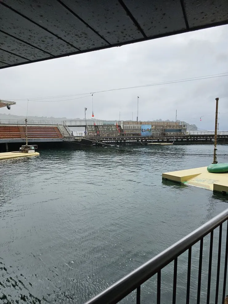 另一個角度的海豚池