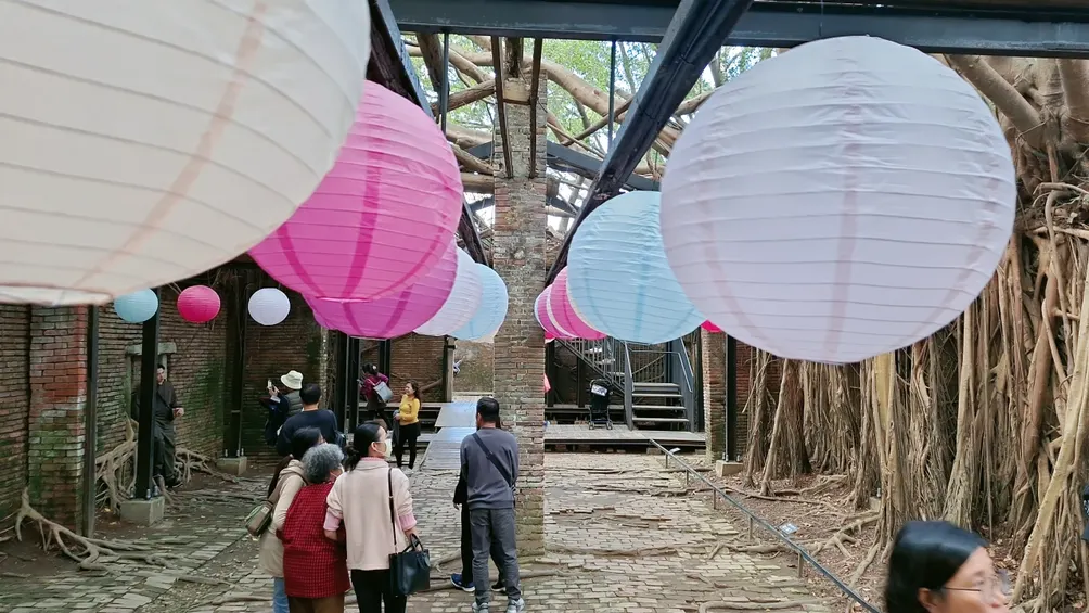 多的是我不知道的事