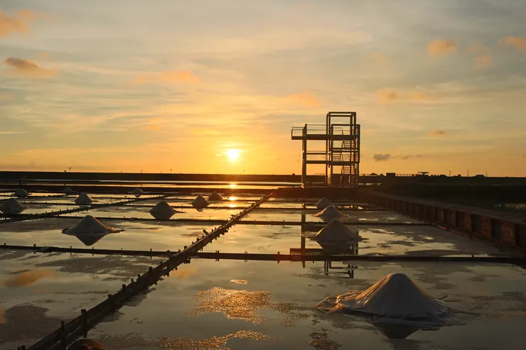 攝影於台南井仔腳瓦盤鹽田