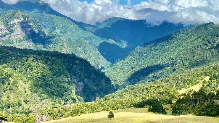 雪山三六九草原 · 秋分 攝影|吳星瑩 Xueshan, Taiwan · Autumn Equinox Captured by Singing Wu