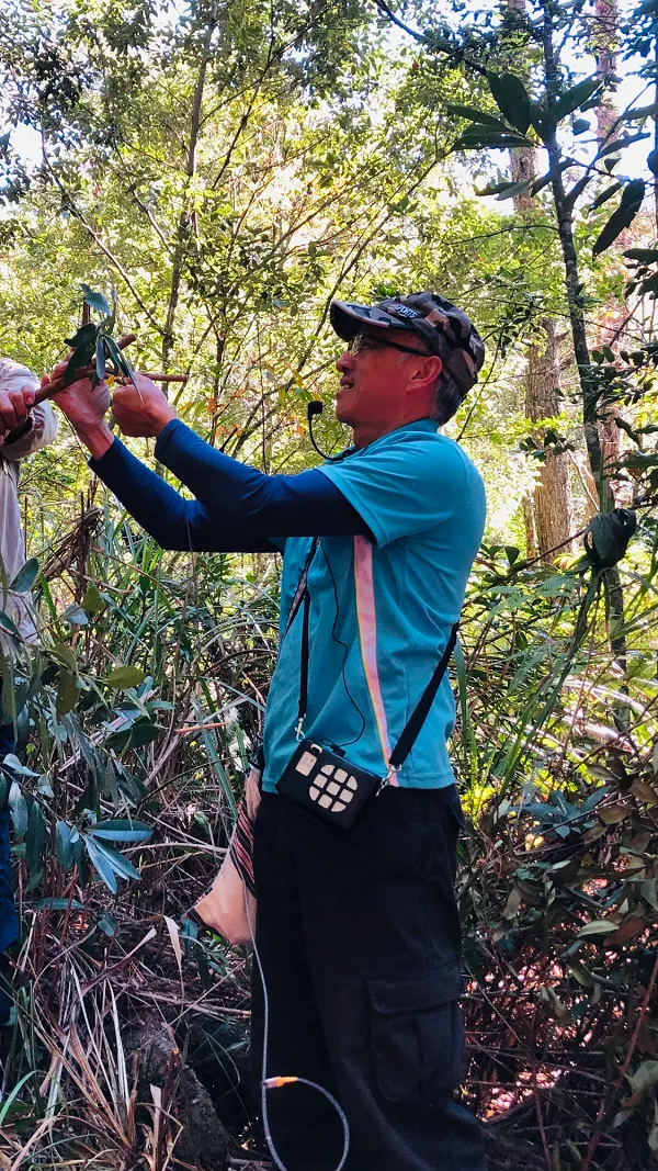 嚮導示範如何設置陷井