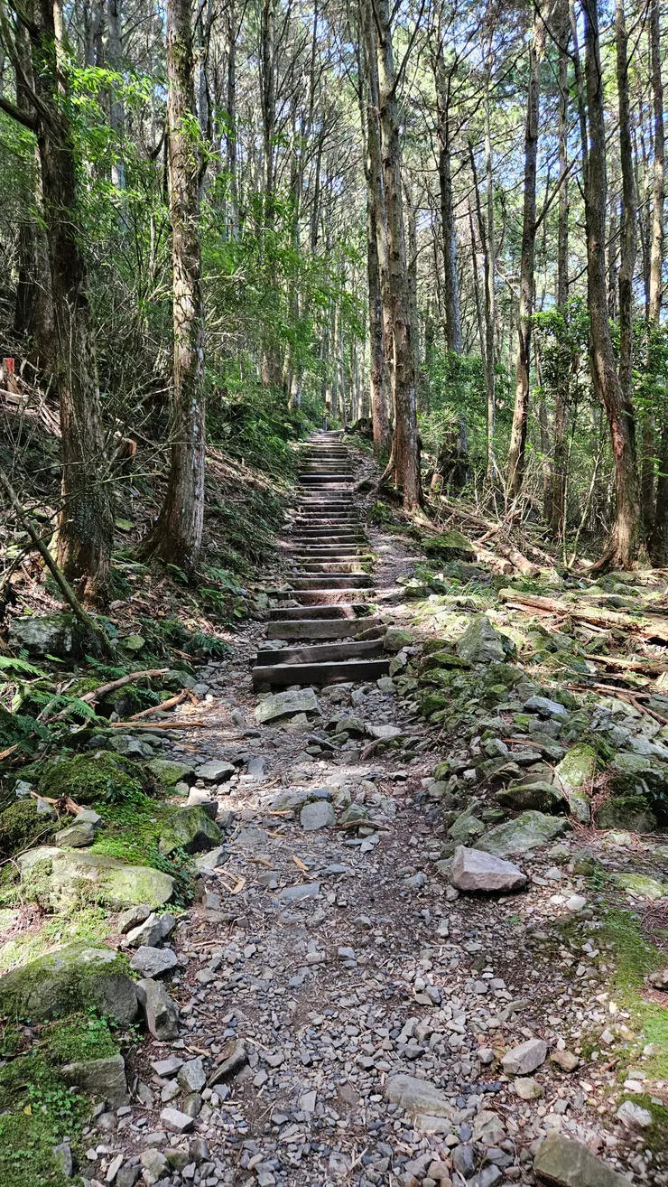 平坦好走的步道上山,一點也不費力!