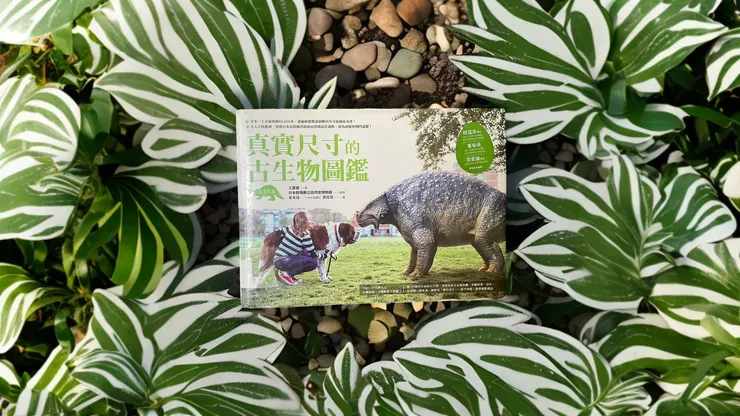 Photo by 梧椿、Pebblely、clipdrop

