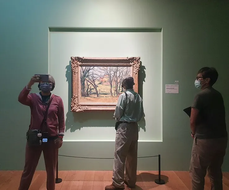 布豐莊園附近的樹木與房舍