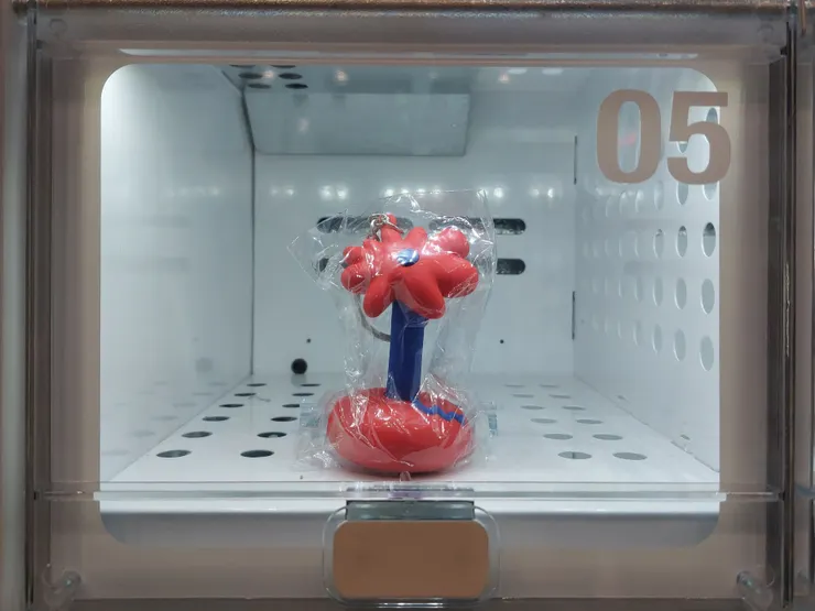 小石花鑰匙圈 / 資料來源：林鴻鈞@並木居