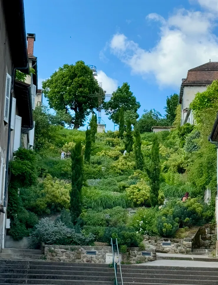 不可思議，我居然走進這樣的美景中