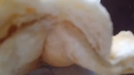 [異國美食]黑龍越南法國麵包，現點現做法國麵包代表店，信義區