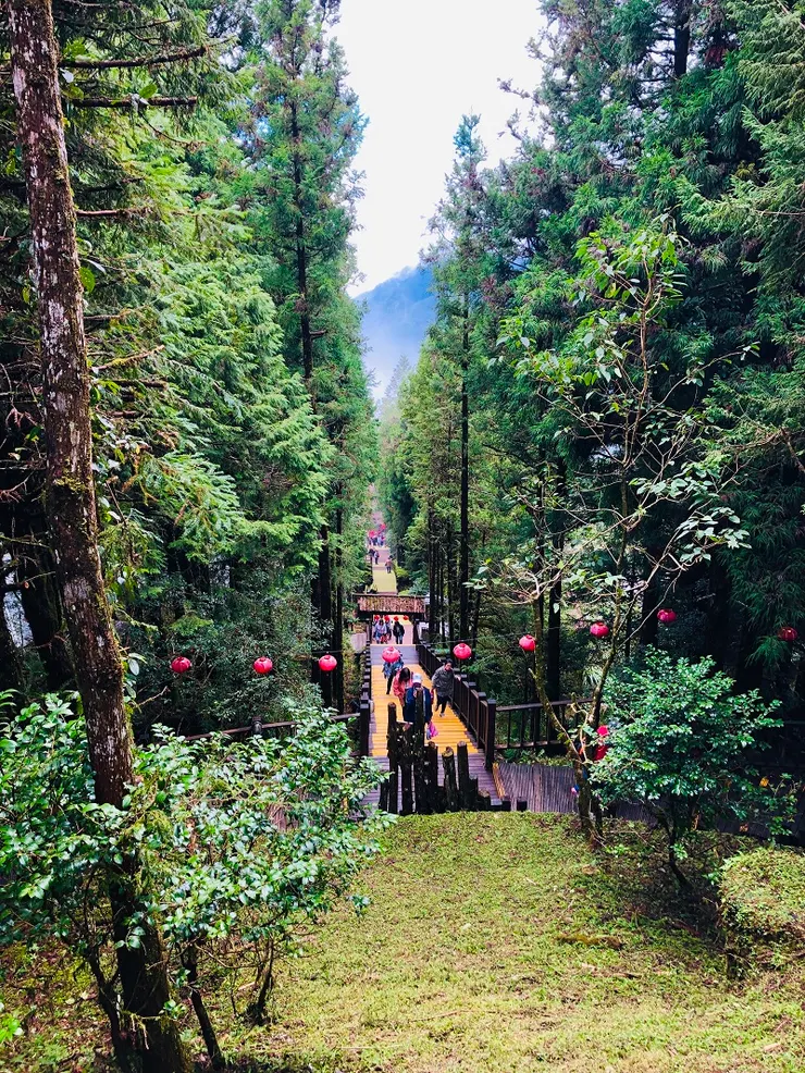 要抵達鎮安宮，需要爬一段長長的階梯。（俯瞰中央階梯）