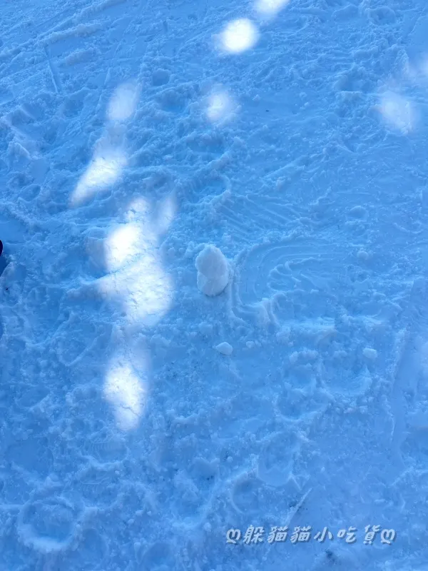 爬不起來乾脆玩雪球疊疊樂😝