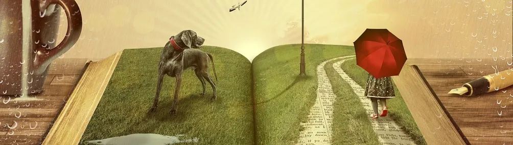 吉米不可 Give me book