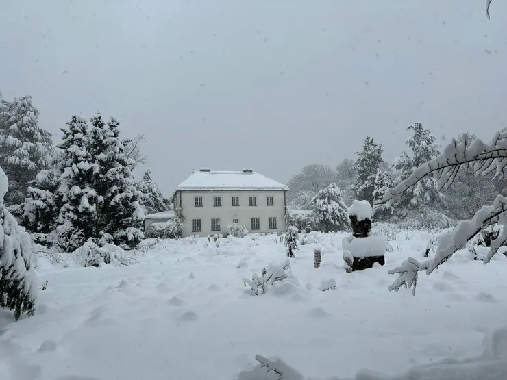 這一大片地就是玫瑰花圃