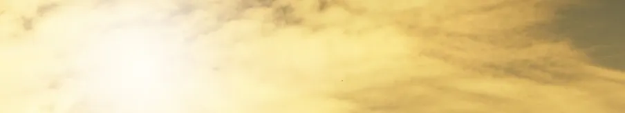 有格少年的沙龍