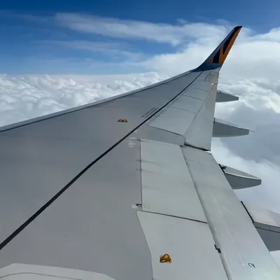 奈特王的宇宙教室