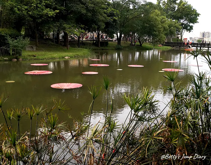 ▲龍潭觀光大池-幻之草/圖片來源：Betty's Jump Diary