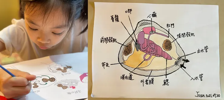 作畫