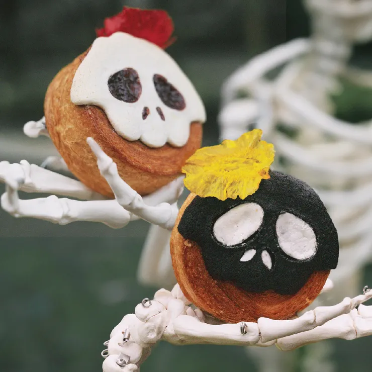 圖片來源:ChubbyDoo官網