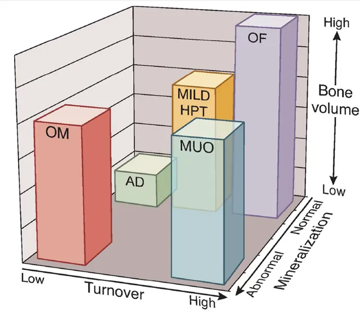 資料來源 : Recent Advances in the Non-invasive Diagnosis of Renal Osteodystrophy Ranjani N Moorthi, MD1 and Sharon M Moe, MD1,2 1Indiana University School of Medicine, Indianapolis IN 2Roudebush VAMC, Indianapolis, IN