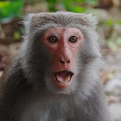 佧佧的術式領域