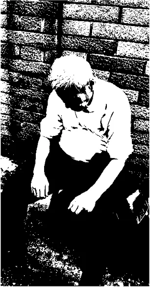 青春走過，歲月不忍流