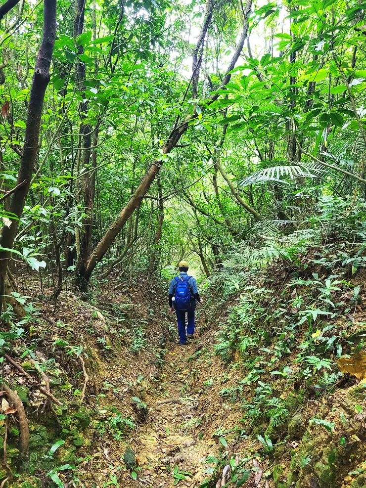 ▲一段長長山溝下坡，很特別的一段