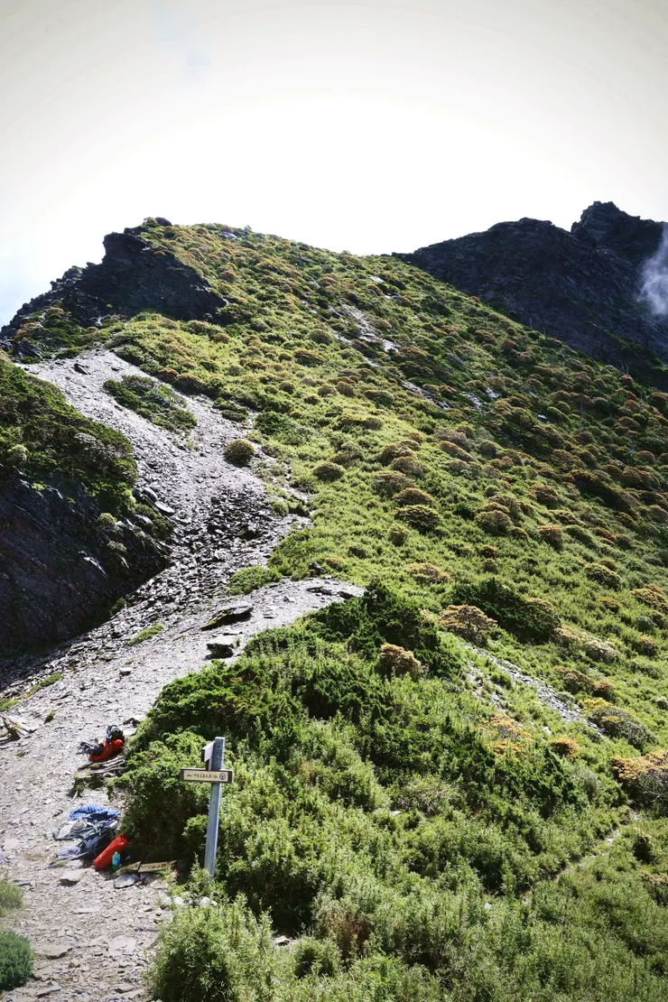 ▲9:40終於爬上了中央尖山鞍部