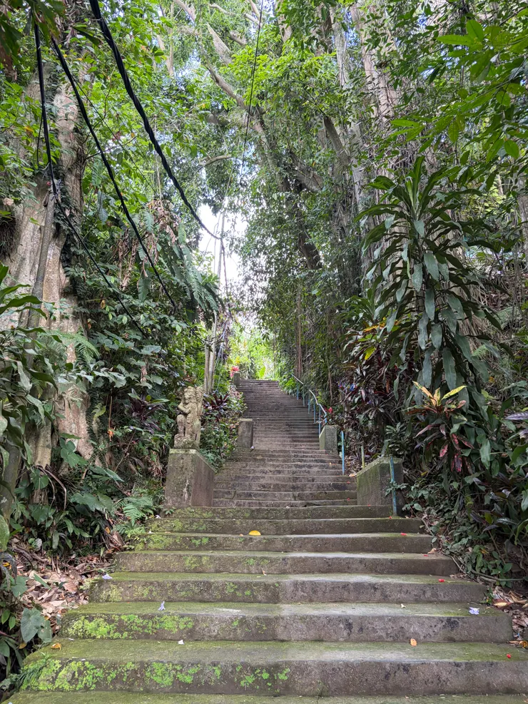 入口處需要爬個小登山步道才能上去，招牌不太明顯，只告訴你「順應直覺」就好 XD