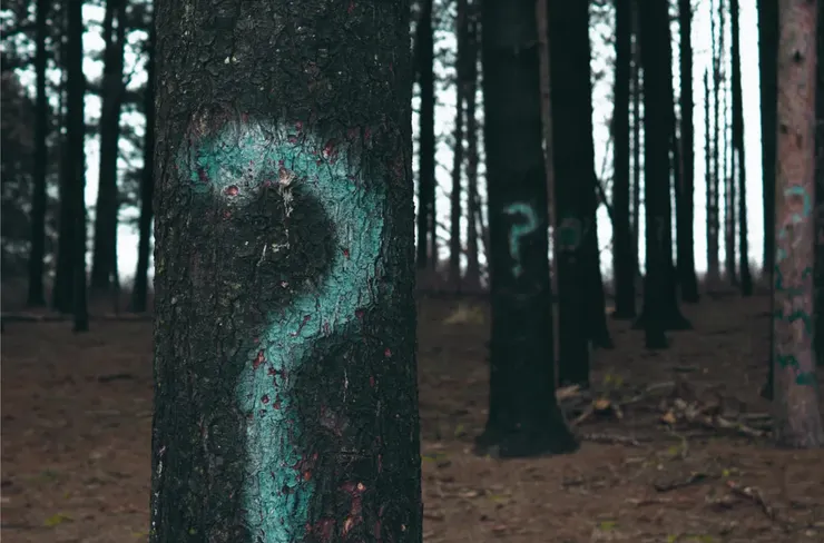 為什麼?為什麼?為什麼?