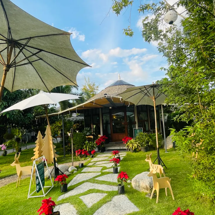 美麗的聖誕裝飾