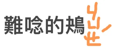 難唸的鴂ㄐㄩㄝˊ的沙龍